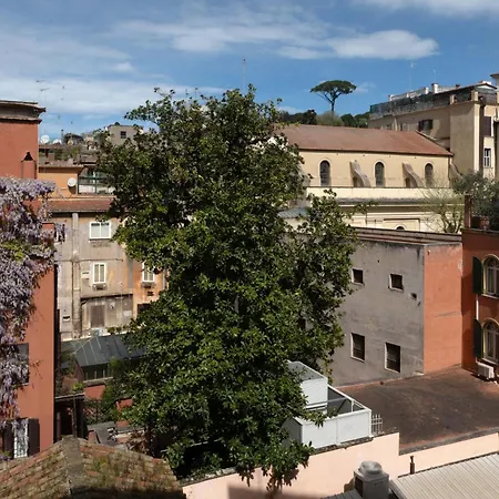 Agh Babuino Guest house